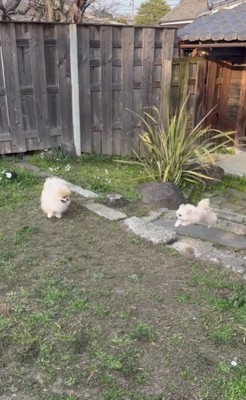 幸せそうな表情にほっこり