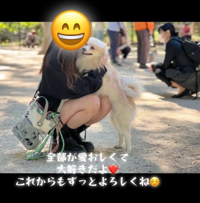 ラテくんのビフォーアフター⑩