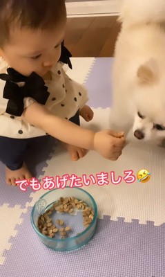 もちちゃんにご飯をあげるましろちゃん8