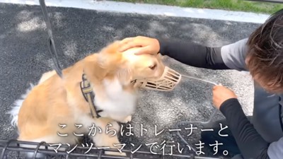 向かい合う投稿主さんとアトムくん