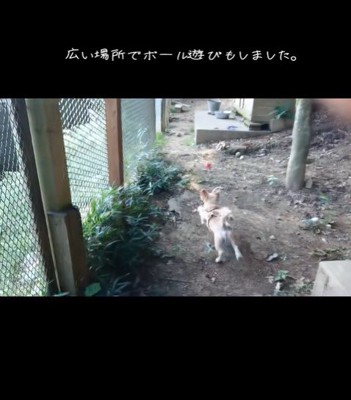 ネオくんが幸せを掴むまで5