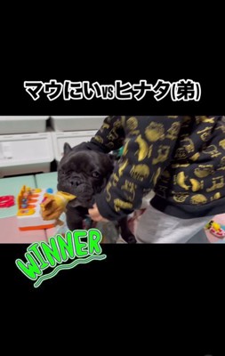 お兄ちゃんとして活躍するマウイくん3