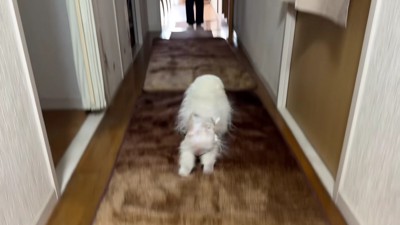 おばあちゃんと再会したら…