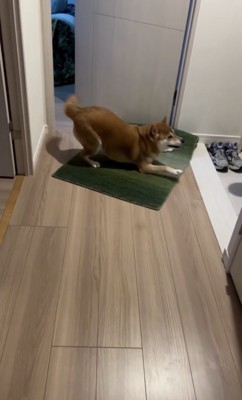 おさまらない喜び