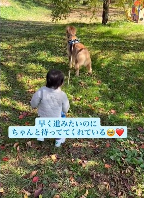 犬と男の子の後ろ姿2