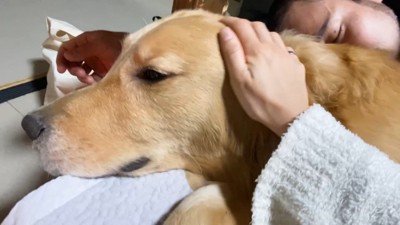 ママさんがナデナデ♡