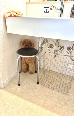 隠れる