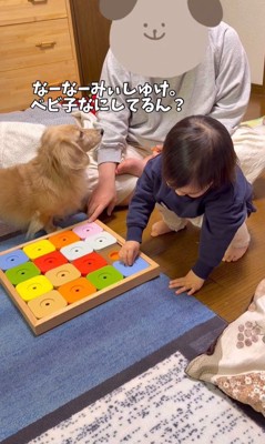 知育玩具で遊ぶレオンくんと赤ちゃん