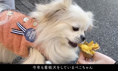 看板犬のペコちゃん