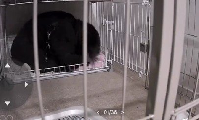 一緒にねんね♡