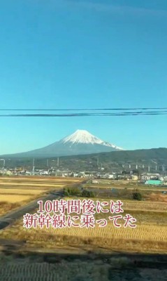 愛犬の死から立ち直れない…