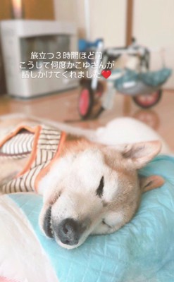 温かな一幕に涙…