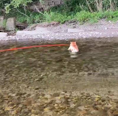 「もうちょっとなのに！」