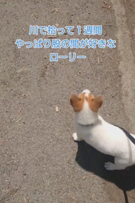 ローリーちゃんのお気に入りは…