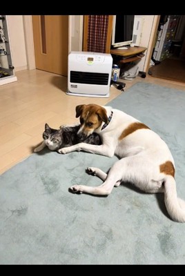 1年後の大夢くんとかんたくん1