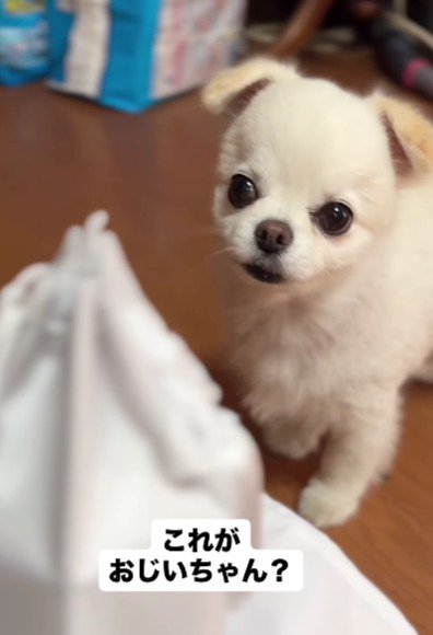 小さな骨壺が…