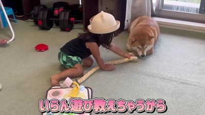 ソリにしてみたよ