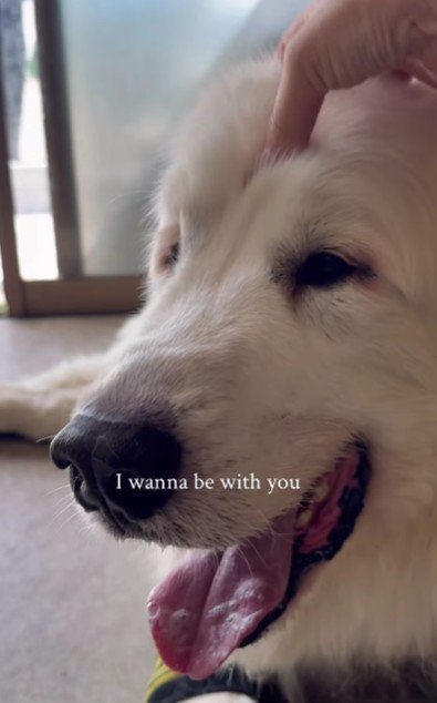 これからも幸せに！！