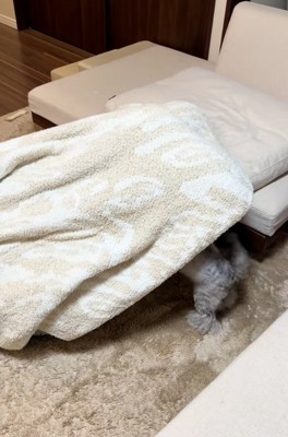 毛布の中に入っていくピーターくん