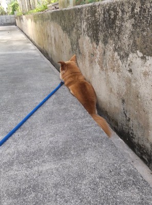 側溝