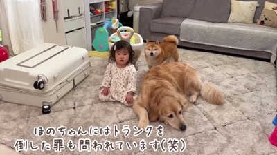 きちんと謝れました♪