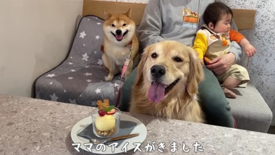 ご夫婦のおやつが終わったら…