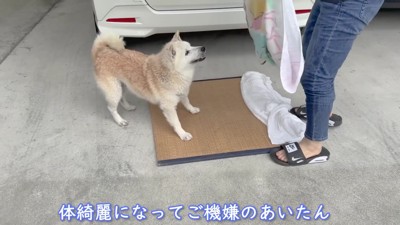 庭を駆け回って大喜び！