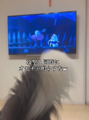 弱そうな効果音に爆笑!