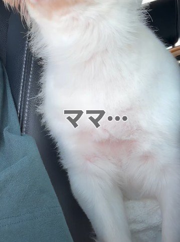 ママが少しだけ買い物へ