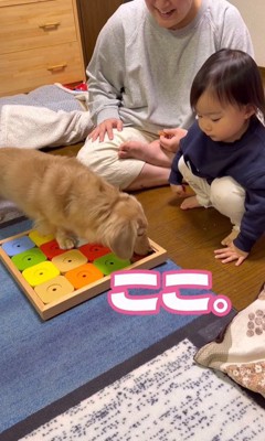 あっさりオヤツをゲット