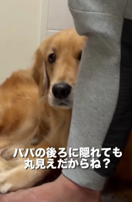 怒られると逃亡！！