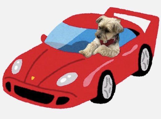 赤いスポーツカーに乗った犬の合成画像