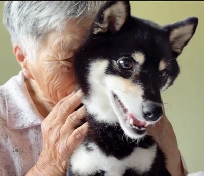 犬を抱きしめる人