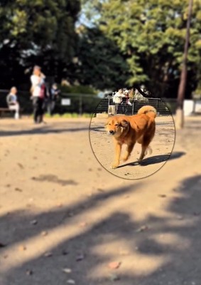 ヒコーキ耳のラッキーくん