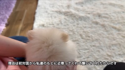 駆け寄ってきてくれた