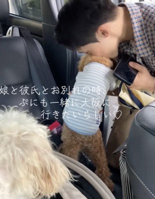 熱烈なチュー