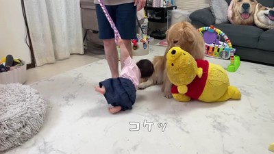 ころんじゃった！