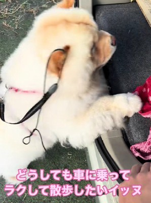 体力の限界が…