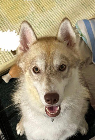 表情の変化に感動