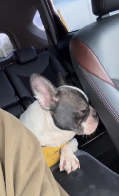 遅めのクリスマスプレゼント♡