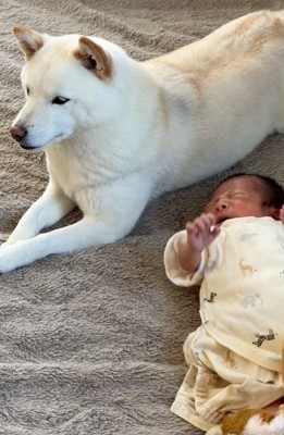 カナちゃんと赤ちゃん