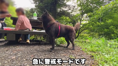 人の気配に気付いて立ち上がる