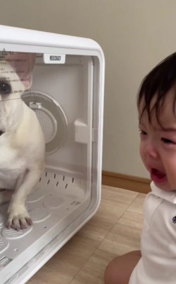 自分の無力さに思わず号泣