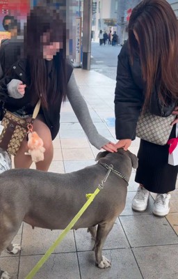 褒められちゃった!