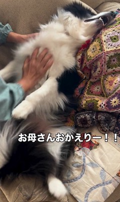 マリちゃんの熱烈歓迎7