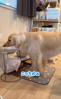 タオルで口を拭くコロッケくん