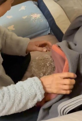 寝る前の茶々丸くんとおばあちゃん