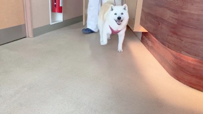 満面の笑みが愛おしい…