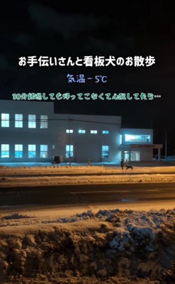 お手伝いさんとわんこを探したら…