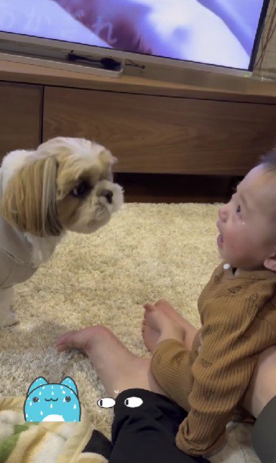 赤ちゃんと共鳴